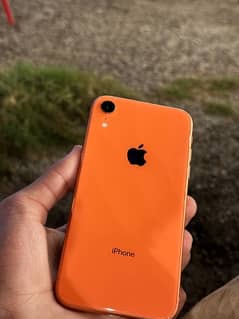 Iphone XR NON PTA