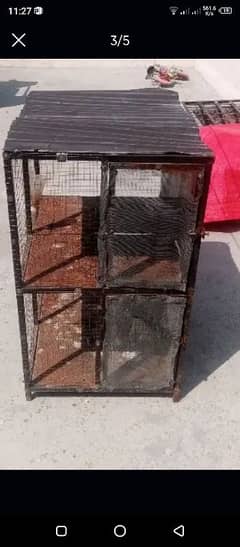 heavy aseel cage for sale