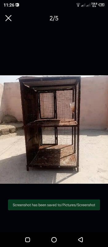 heavy aseel cage for sale 2