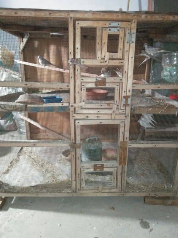 2 portion wooden cage with Dove 7