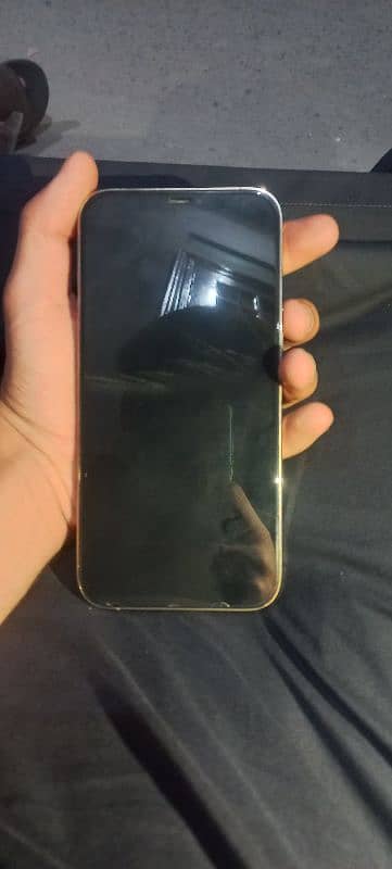 iphone 12 pro max pta approved 5