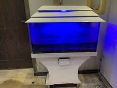 Fish Aquarium for Sale: Good Condition