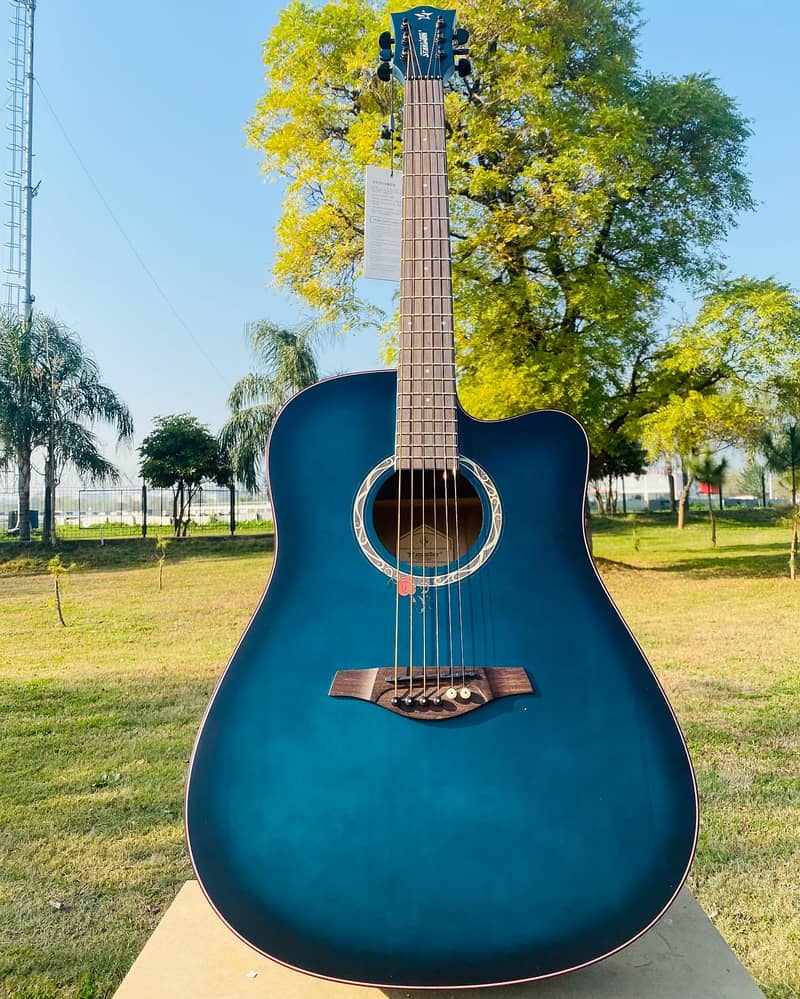 Acoustic Guitars Professhional Branded ( New Guitars at Happy Club) 1