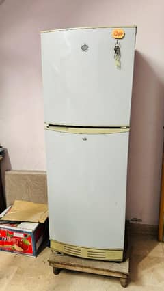 Pel fridge for sale