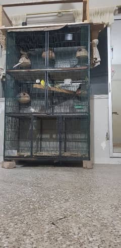 Iron havey cage for sale.