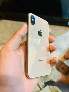 iphone xs golden color