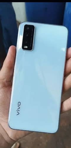 vivo