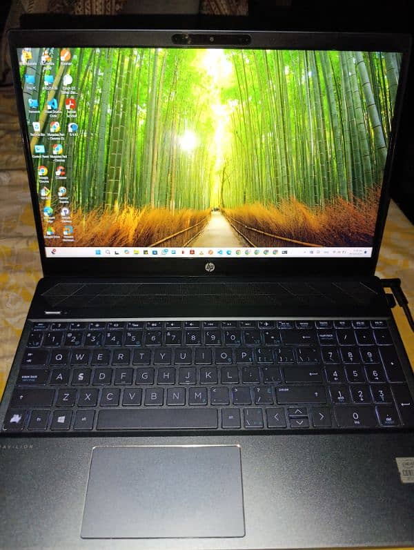 HP Core i5 10th Gen, touch screen laptop 5