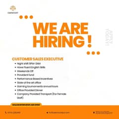 Customer Sales Executive