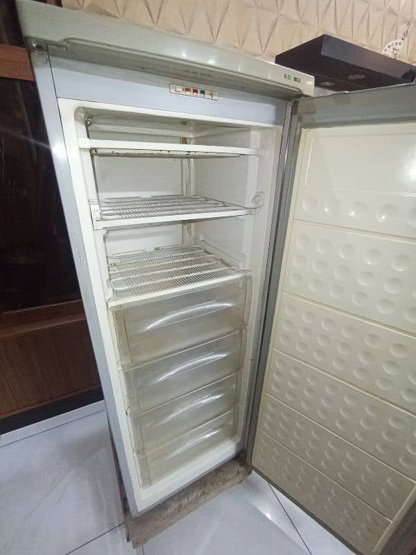 Carevell Freezer 1