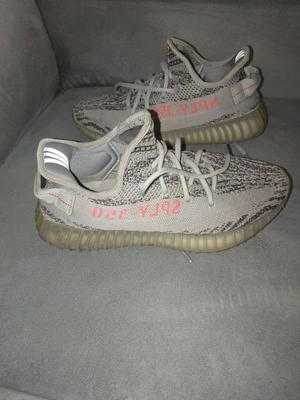 adidas Yeezy 350 1