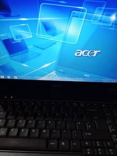 acer