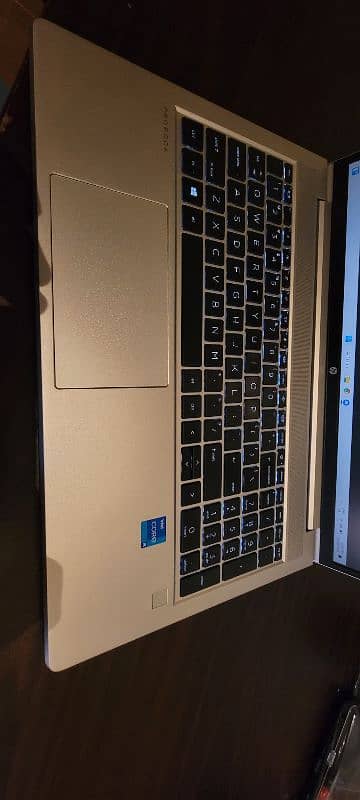 HP PROBOOK 450 G8 10