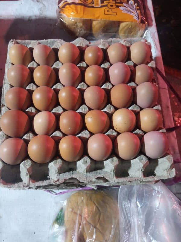 DESI eggs (anday) FRESH AND PURE 1