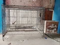 Pahari nd Grey Parrot Folding Cage