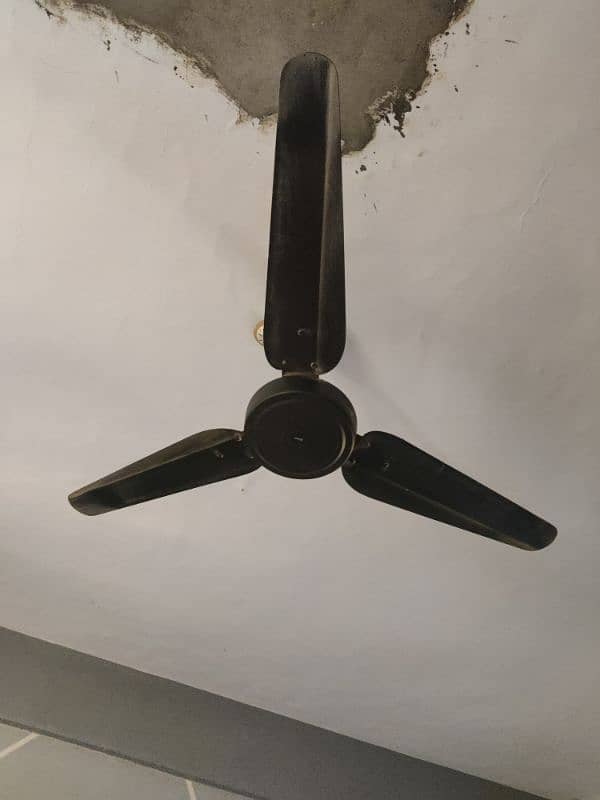 ceiling orient fan 0