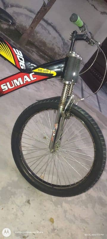 Sumac Fat Tyers 26" 4