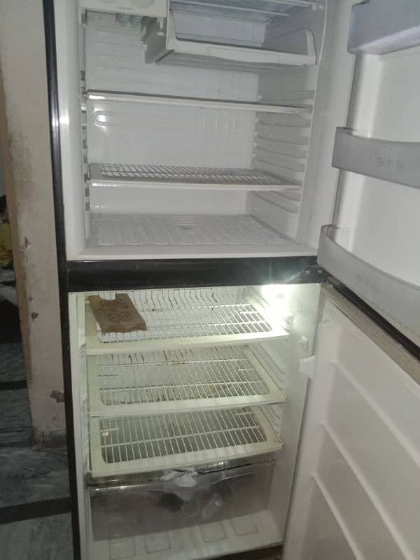 Pel fridge 1