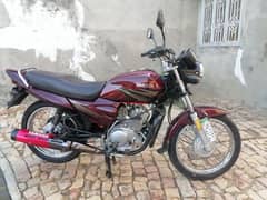 Yamaha Ybz 19 model jhelum number