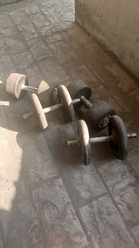 dumbbells and bench 2