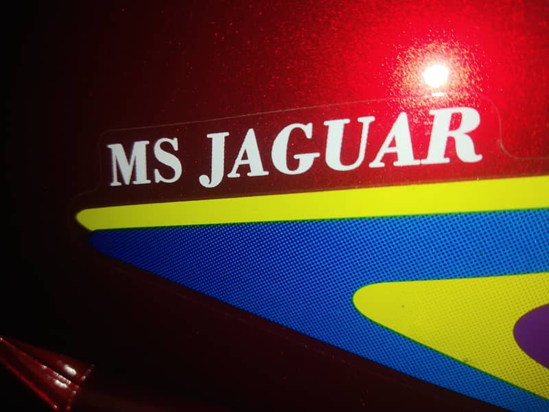 MS Jaguar E-70 2024 2