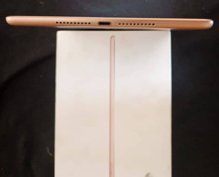 iPad mini 5 2