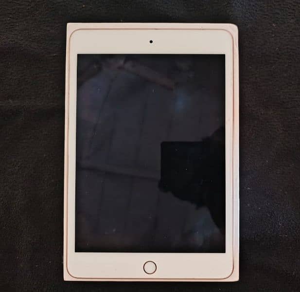 iPad mini 5 3