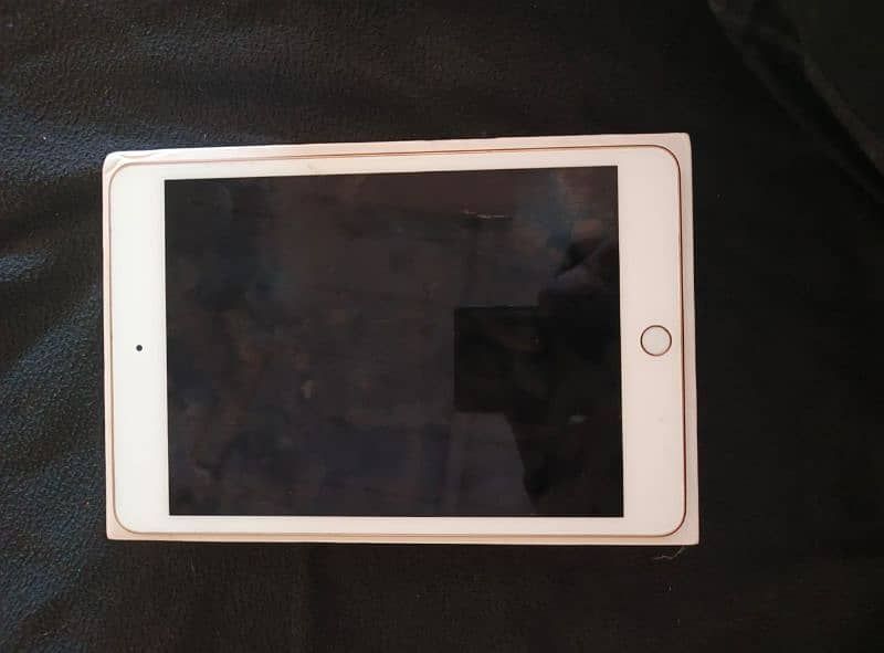 iPad mini 5 5