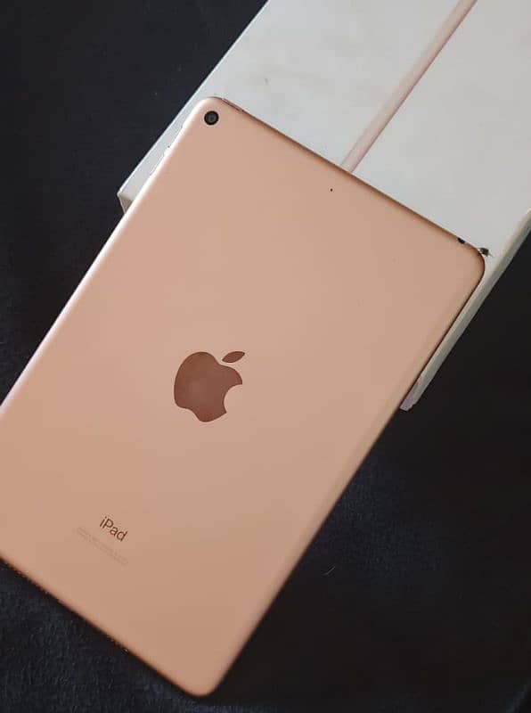 iPad mini 5 6