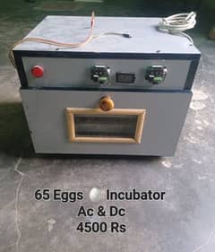 incubator