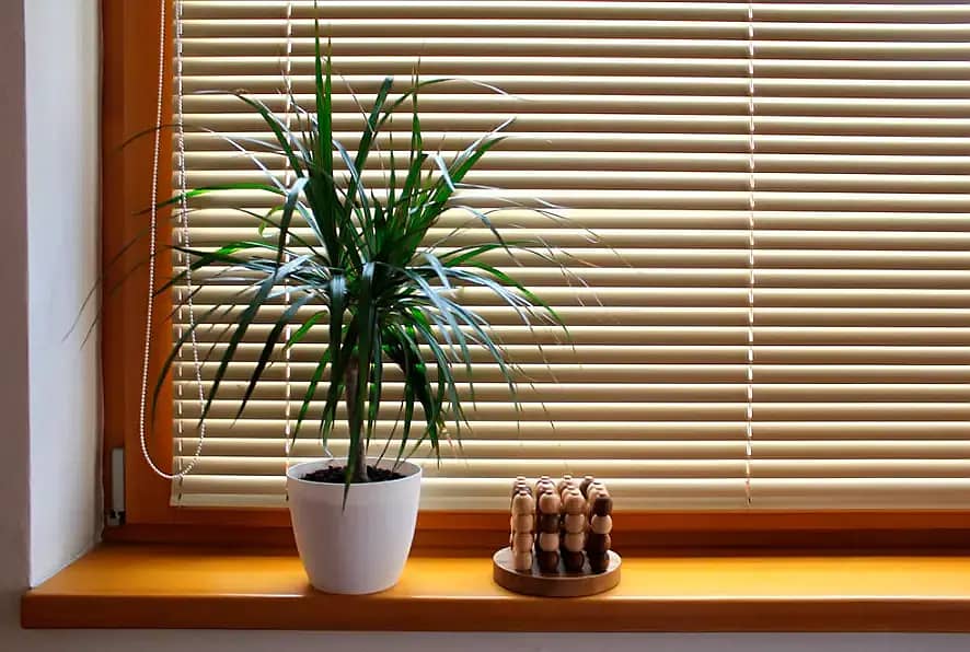 Window Blinds wooden vertical roller, wallpaper, wood and vinyl floor 13