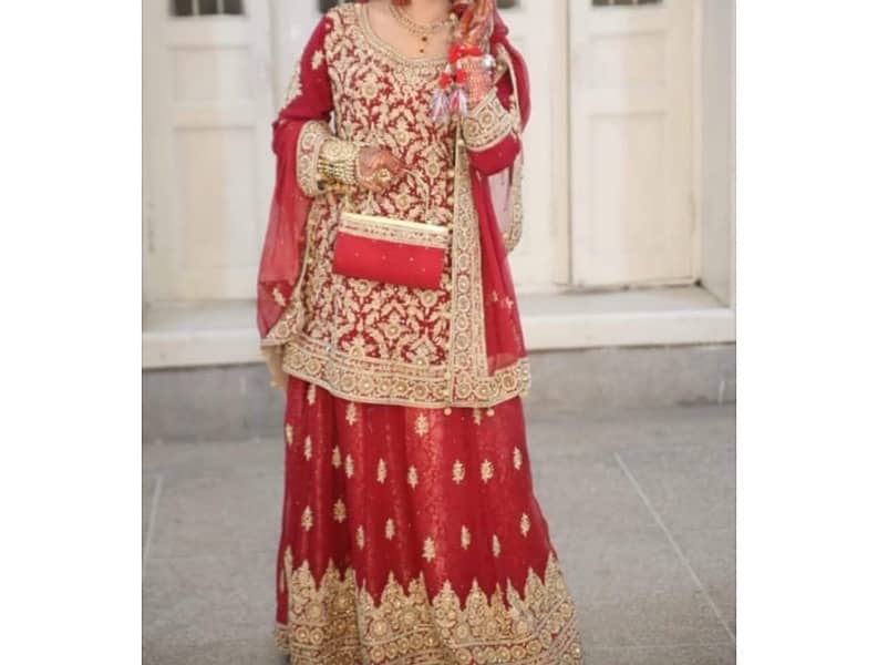 Bridal Dress/Bridal Maxi / Bridal Lehnga 0