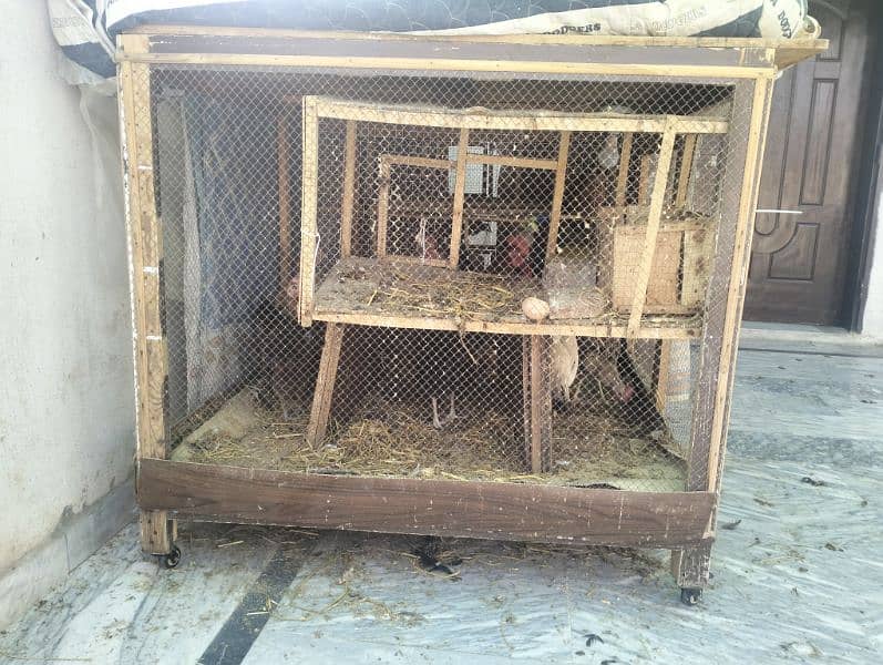 Hen cage 0