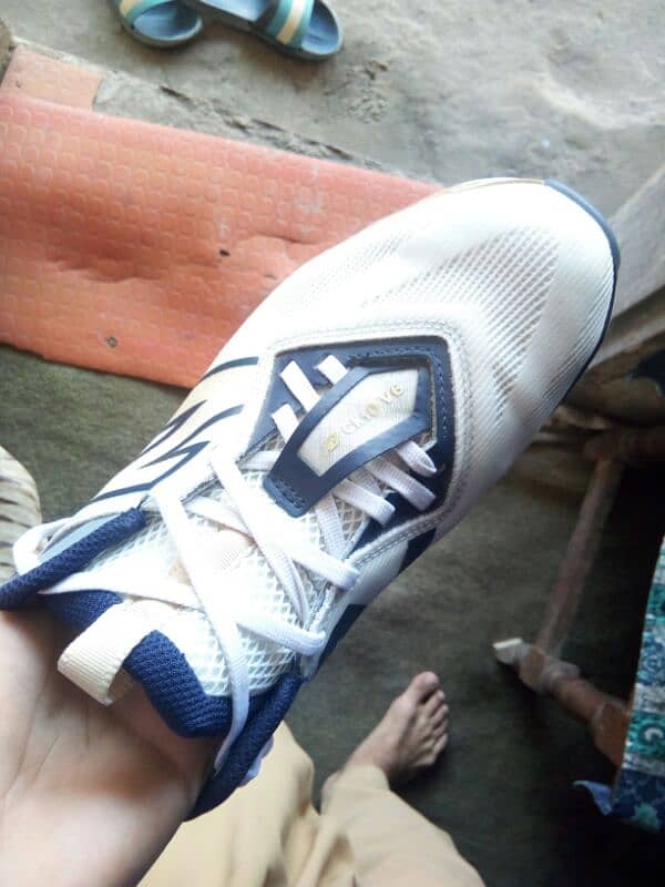 New balance spikes original 2