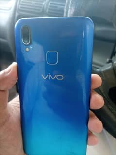 vivo