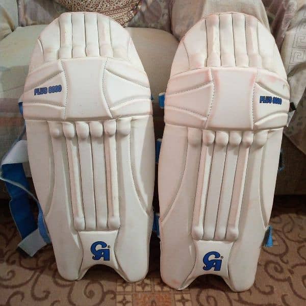 Cricket pads helmet 1