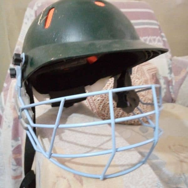 Cricket pads helmet 2