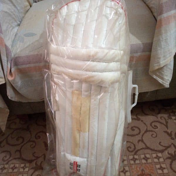 Cricket pads helmet 3