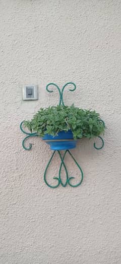 Cycle frame for pot, wall frames & separate pots also available