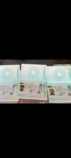 Visit Visa | Work Permit Available | Immigration Service