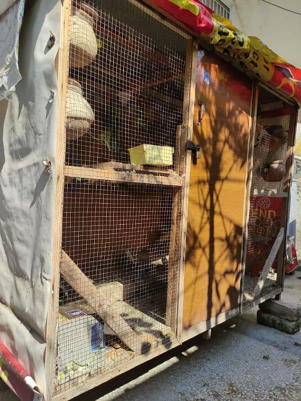 birds Cage for parrots and hens "without parrots" 0