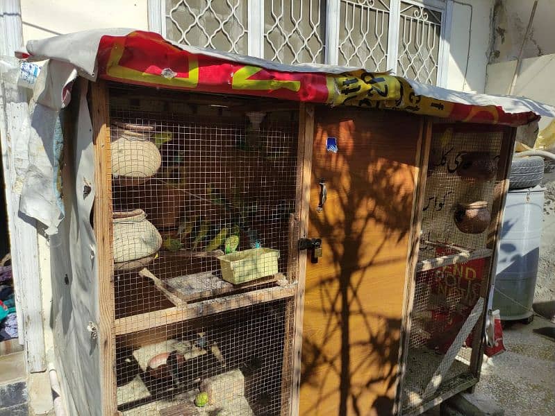 birds Cage for parrots and hens "without parrots" 1