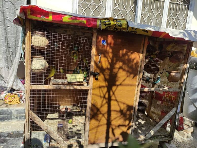 birds Cage for parrots and hens "without parrots" 2