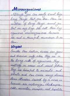 handwriting assignment work