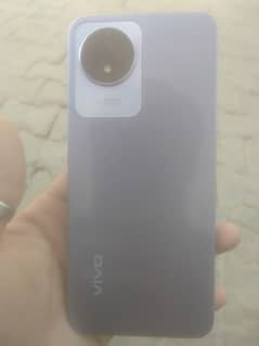 vivo