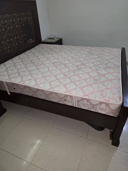 Molty Foam 72×78×8" spring euro mattress for sale 2