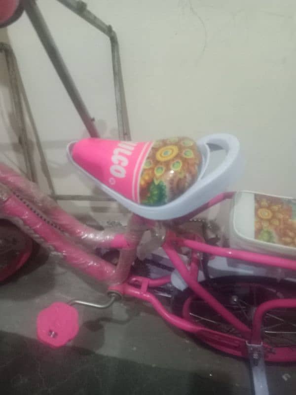 baby girl bicycle new 2