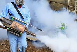 dengue spray / mosquitos spray / fumigation spray / pest control