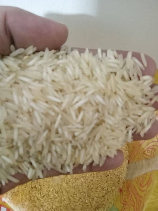 Marjan Rice Available For Sale 5