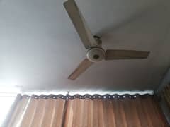 celling fans for sale